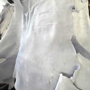 Wet Blue (Carnaza) | León GTO